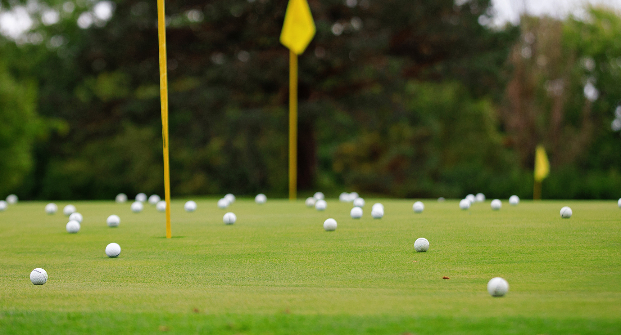 Golf balls on course